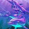 Jeu Blue dolphins puzzle en plein ecran