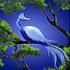 Jeu Blue historic bird slide puzzle en plein ecran