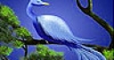 Jeu Blue historic bird slide puzzle