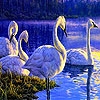 Jeu Blue lake and swans slide puzzle en plein ecran