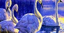 Jeu Blue lake and swans slide puzzle