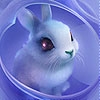 Jeu Blue pretty rabbit slide puzzle en plein ecran