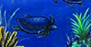 Jeu Blue sea turtle puzzle