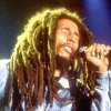 Jeu Bob Marley en plein ecran