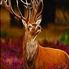 Jeu Brown deer on the forest puzzle en plein ecran