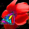 Jeu Butterfly eating flower slide puzzle en plein ecran