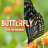 Butterfly – Find the Alphabets