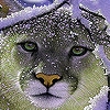 Jeu Cat on the snow puzzle en plein ecran