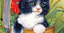 Jeu Cats play game puzzle