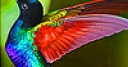Jeu Charming hummingbird slide puzzle