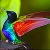 Charming hummingbird slide puzzle