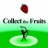 Collect_the_Fruits