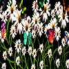 Jeu Colorful daisy garden puzzle en plein ecran