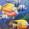 Jeu Colorful  deep sea fishes slide puzzle en plein ecran