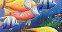 Jeu Colorful  deep sea fishes slide puzzle