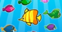 Jeu Colorful Fish Matching