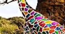 Jeu Colorful  hungry giraffe slide puzzle