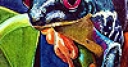Jeu Colorful lake frogs puzzle
