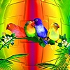 Jeu Colorful parrots family slide puzzle en plein ecran