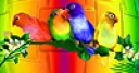 Jeu Colorful parrots family slide puzzle