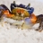 Crab Slider Puzzle