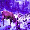 Jeu Deer in the winter puzzle en plein ecran