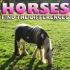 Jeu Differences: Horses en plein ecran