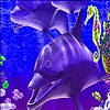 Jeu Dolphins  and seahorse puzzle en plein ecran