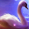 Jeu Dream swan in the lake slide puzzle en plein ecran