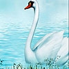 Jeu Fabulous white swans puzzle en plein ecran