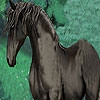 Jeu Fantastic color horses puzzle en plein ecran