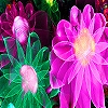 Jeu Fantastic flower garden puzzle en plein ecran