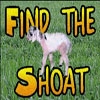 Jeu Find the Shoat v1.1 en plein ecran
