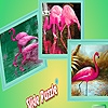 Jeu Flamingos in tropical island puzzle en plein ecran