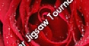 Jeu Flower Jigsaw Tournament