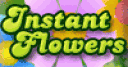 Jeu Instant Flowers