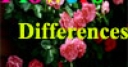 Jeu Flowers Differences