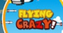 Jeu Flying Crazy