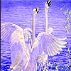 Jeu Flying swans in water slide puzzle en plein ecran