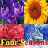Jeu Four Seasons: Spring, Summer, Autumn or Winter? en plein ecran