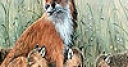 Jeu Fox family in the nature puzzle