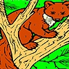 Jeu Fox on the tree coloring en plein ecran