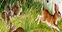 Jeu Friends in the woods slide puzzle
