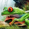 Jeu Frog in the waterfall puzzle en plein ecran