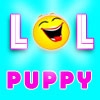 Jeu Funny Cute Puppies en plein ecran