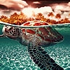 Jeu Giant ocean turtles puzzle en plein ecran