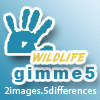 Jeu gimme5 – wildlife en plein ecran