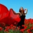 Girl in the poppy field