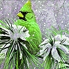 Jeu Green bird on the snow garden puzzle en plein ecran