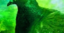 Jeu Green birds puzzle